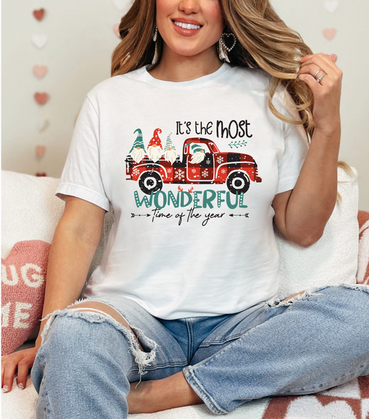 Most Wonderful Time of the Year T-shirt